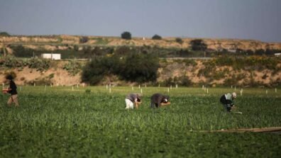 أمطار نيسان: نعمة ونقمة على المزارعين