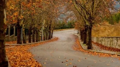 طقس خريفي “مستقر” يُسيطر على لبنان