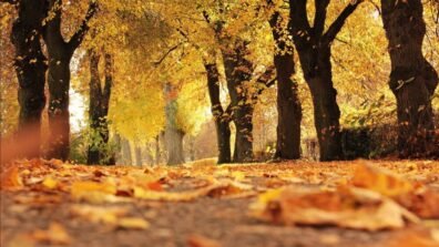 بين تشرين وتشرين لا صيف ثانٍ!