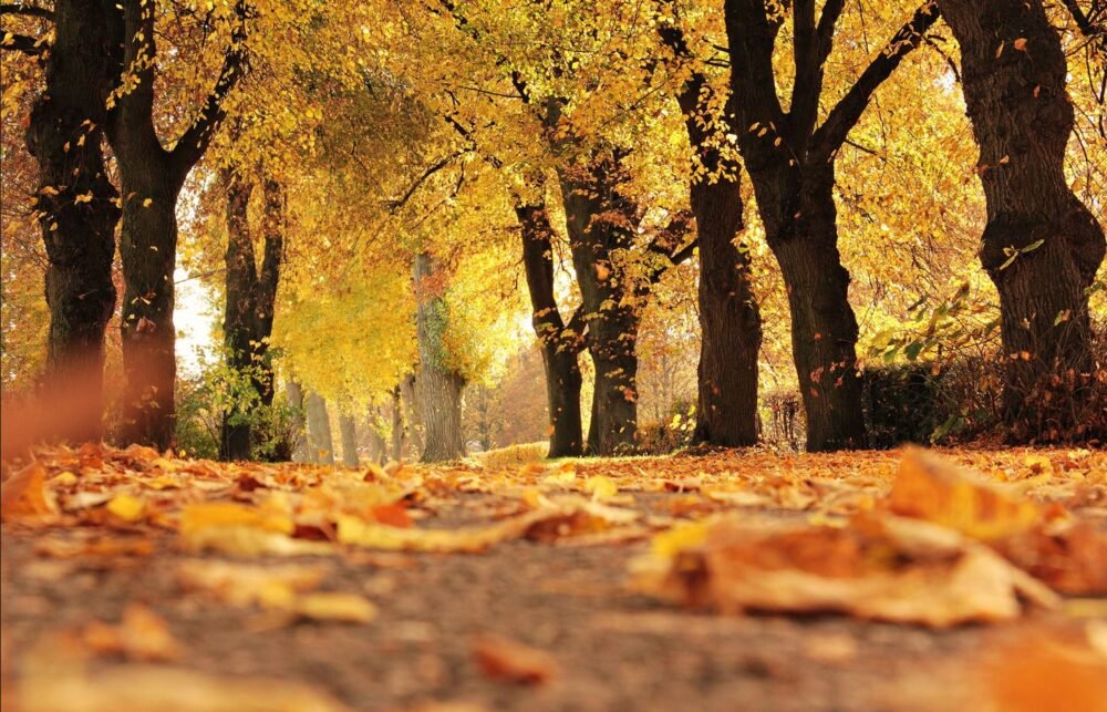 بين تشرين وتشرين لا صيف ثانٍ!