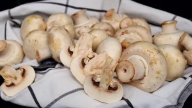 كيف يؤثر تناول الفطر بانتظام على ضغط الدم؟