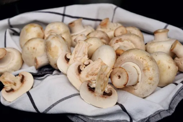 كيف يؤثر تناول الفطر بانتظام على ضغط الدم؟