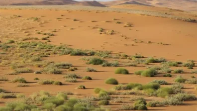 «الربع الخالي»… مخزن الطاقة ومقبرة المسيّرات المُعادية