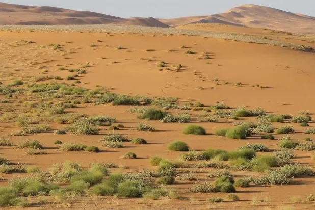 «الربع الخالي»… مخزن الطاقة ومقبرة المسيّرات المُعادية