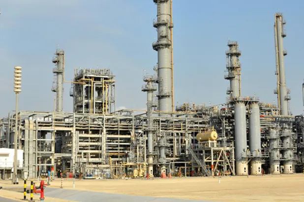 «السعودية للاستثمار الصناعي» تطلق مشروعاً للبروتين الحيوي بـ373 مليون دولار