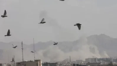 منظمة التعاون الاقتصادي: الوقت مبكر لتقييم أثر الحرب على النمو العالمي