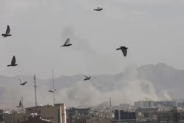 منظمة التعاون الاقتصادي: الوقت مبكر لتقييم أثر الحرب على النمو العالمي