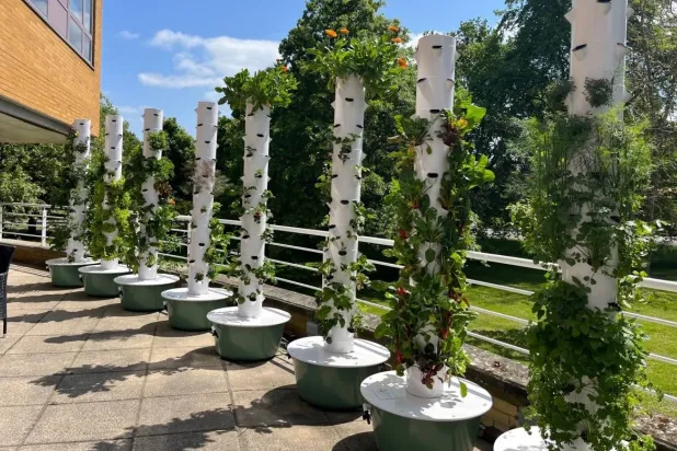 نظام نباتي لعلاج «المباني المريضة»