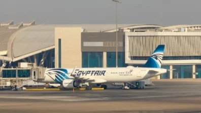 «مصر للطيران» تتهم صناع «السلم والثعبان 2» بـ«الإساءة»