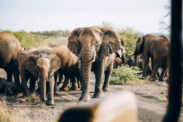 رحلات من وحي الكتب والروايات