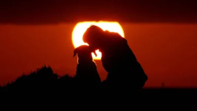 دراسة: أقدم كلب معروف ظهر قبل 15 ألفاً و800 عام