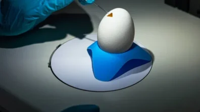 كيف تحوّل بيضةَ دجاجة مصنعاً للأدوية؟