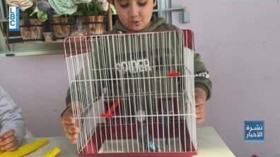 بين الحرب والوجع… الحيوانات ضحايا صامتة للنزوح