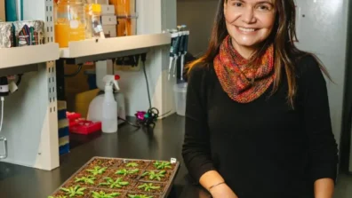 ابتكار علمي يعزز إنتاج المحاصيل الزراعية من دون مبيدات