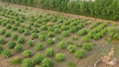 صندوق التنمية الزراعية السعودي يضخ 1.7 مليار دولار لتعزيز الأمن الغذائي