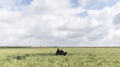 «حزب الله» يعلن استهداف مستوطنات إسرائيلية بالصواريخ