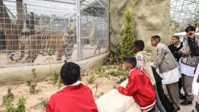 حديقة حيوان طرابلس تفتح أبوابها بعد إغلاق لـ17 عاماً