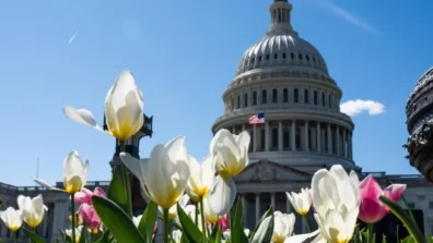 تفاؤل ديمقراطي بتقدُّم في انتخابات الكونغرس وسط أجواء الحرب