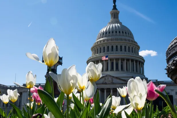 تفاؤل ديمقراطي بتقدُّم في انتخابات الكونغرس وسط أجواء الحرب