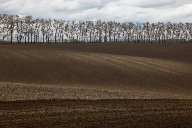 تأهب أميركي لحصار «هرمز» يلهب أسعار القمح والمحاصيل العالمية