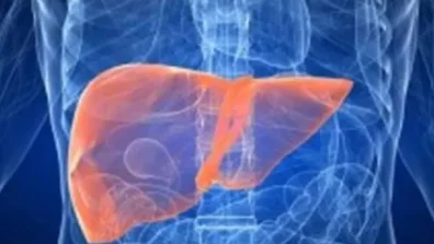 1.8 مليار شخص مهددون بالإصابة بأمراض الكبد الأيضية بحلول 2050