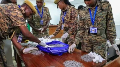 سجن رجل صيني حاول تهريب 2200 نملة من كينيا