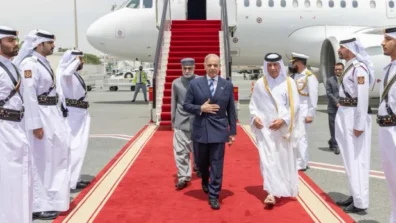 أمير قطر ورئيس الوزراء الباكستاني يبحثان التطورات الإقليمية والدولية