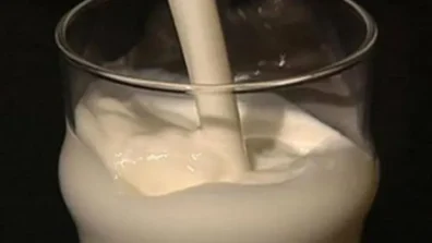 أطعمة تحتوي على كالسيوم أكثر من كوب الحليب