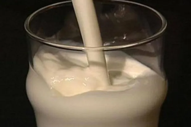 أطعمة تحتوي على كالسيوم أكثر من كوب الحليب