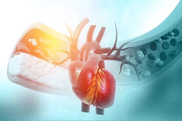 حرّ الصيف يثقل كاهل القلب… مخاطر صامتة ونصائح وقائية