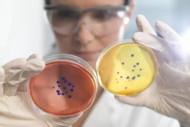 جينات مقاومة المضادات الحيوية موجودة حتى في الرئتين السليمتين