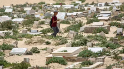 غزو القوارض والحشرات يفاقم معاناة النازحين في غزة