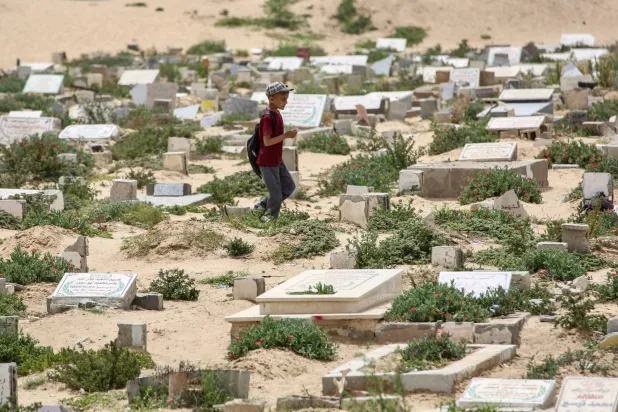 غزو القوارض والحشرات يفاقم معاناة النازحين في غزة