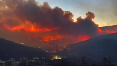 دراسة: دخان حرائق الغابات قد يرفع خطر الإصابة بأنواع من السرطان