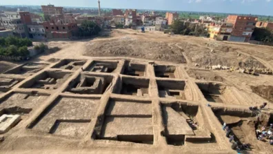 اكتشاف تمثال ضخم في منطقة أثرية بدلتا مصر