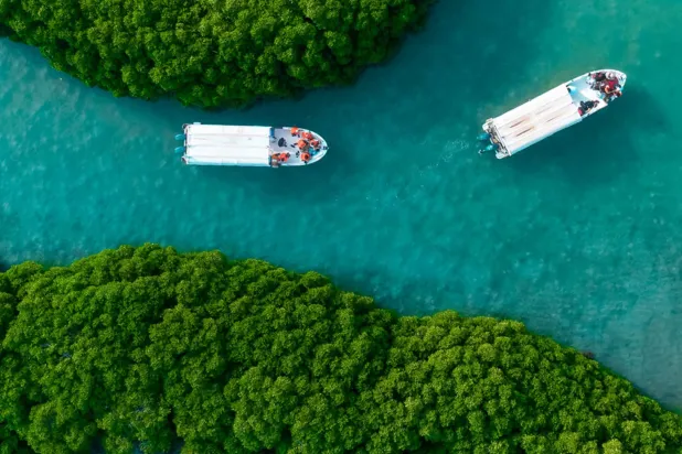 السياحة السعودية: نهضة اقتصادية مذهلة تقودها «رؤية 2030» من العراقة إلى الريادة