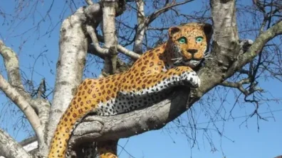 «سفاري» في الشوارع: حيوانات تتسلّق الأشجار وتُفاجئ المارّة