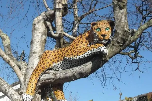 «سفاري» في الشوارع: حيوانات تتسلّق الأشجار وتُفاجئ المارّة