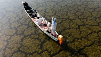 الأمطار الهاطلة بعد جفاف تضخ المياه والحياة في أهوار العراق