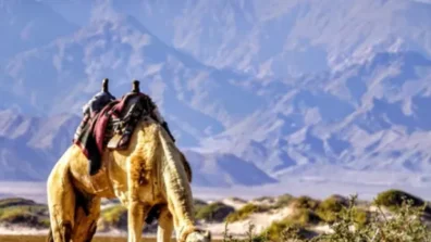 مصر: 3 محميات طبيعية بسيناء تعزز حضورها على الخريطة السياحية