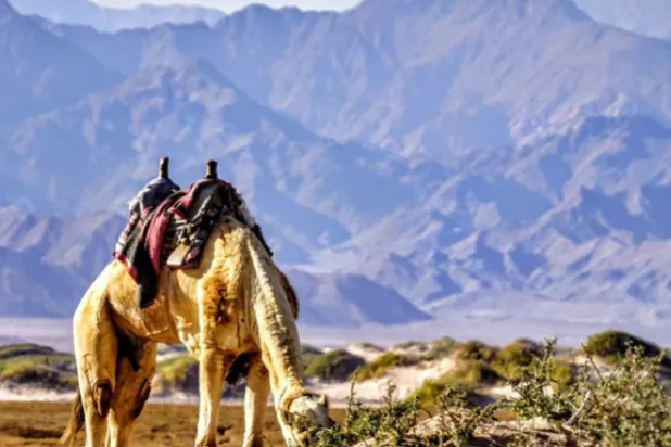 مصر: 3 محميات طبيعية بسيناء تعزز حضورها على الخريطة السياحية