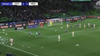 فيديو – الطيور تغزو الميدان في مشهد نادر