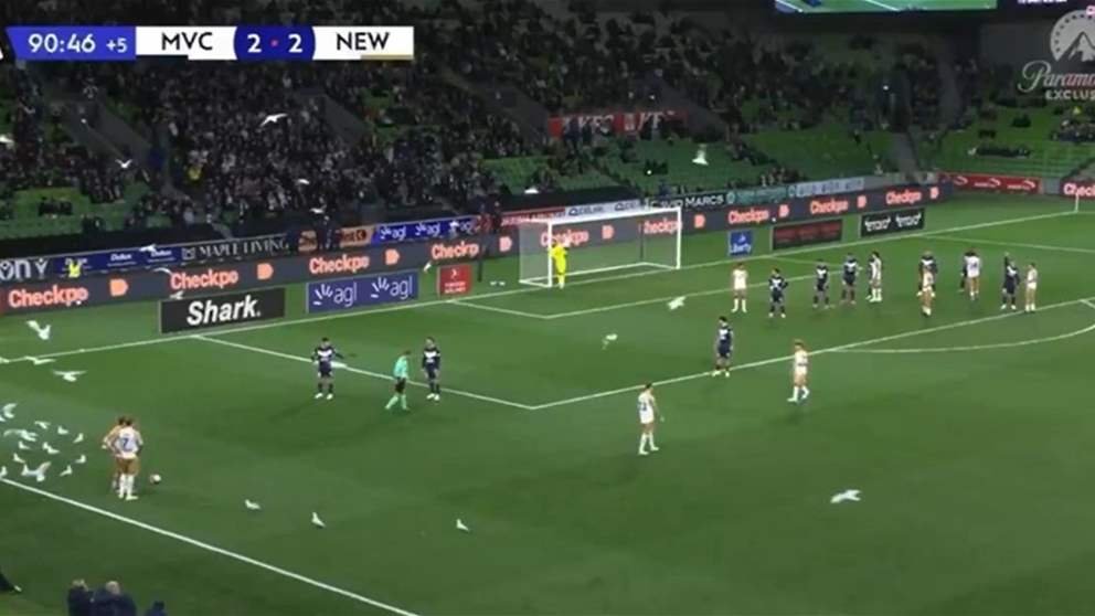 فيديو – الطيور تغزو الميدان في مشهد نادر