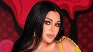 هيفاء وهبي تستأنف نشاطها الفني وتعلق: الأفضل لم يأتِ بعد
