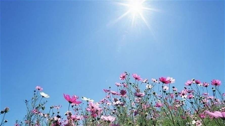 طقس مستقر… حتى الغد