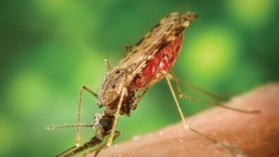 في يوم الملاريا العالمي… معركة القضاء على المرض تدخل مراحلها الحاسمة
