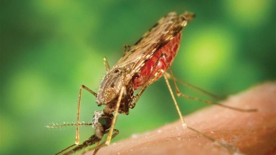 في يوم الملاريا العالمي… معركة القضاء على المرض تدخل مراحلها الحاسمة