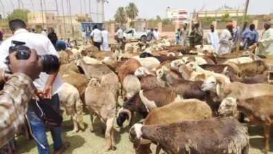 ملايين السودانيين يستقبلون العيد بين النزوح والفقر والجوع والخوف