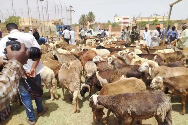 ملايين السودانيين يستقبلون العيد بين النزوح والفقر والجوع والخوف