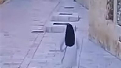 مستوطن يعتدي على راهبة في القدس (شاهد الفيديو)